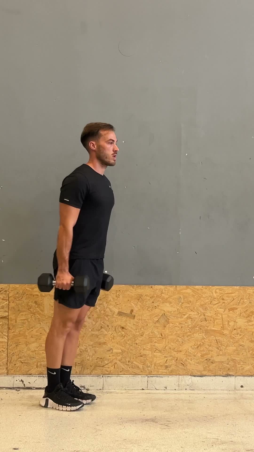 Dumbbell Lunges exercise demonstration video