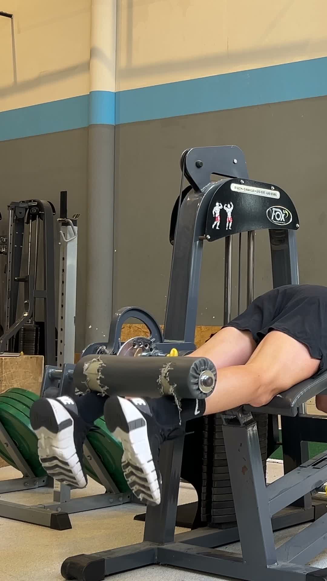 Lying Leg Curl exercise demonstration video