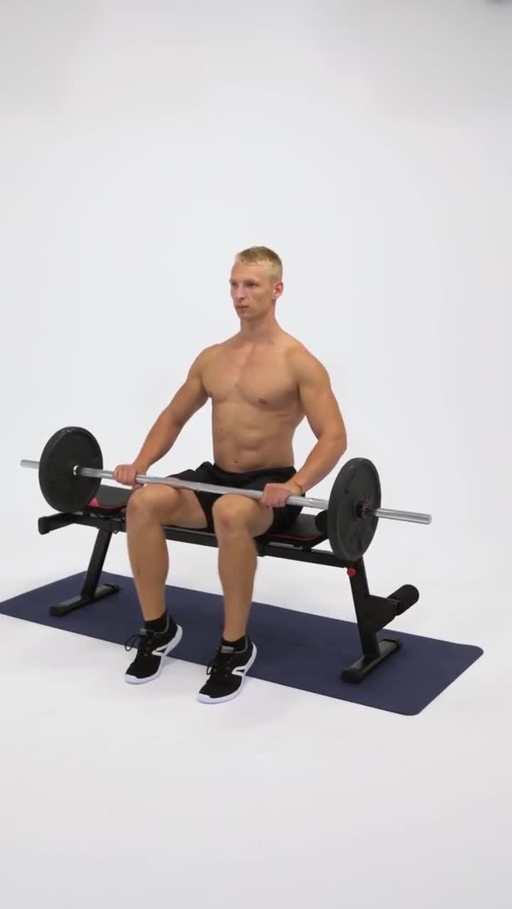 Barbell Seated Calf Raise exercise stock photo, calves