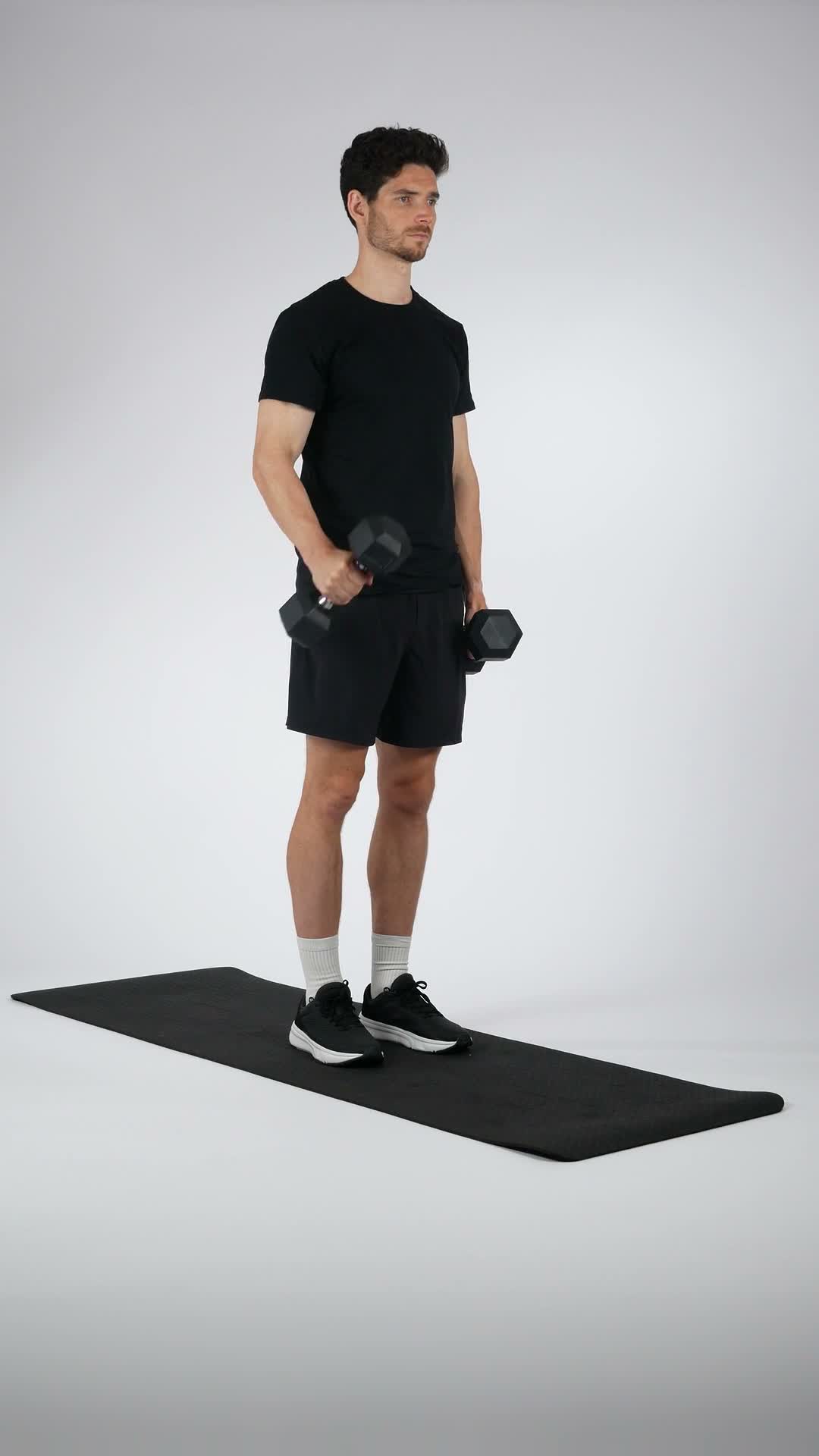 Alternating Dumbbell Hammer Curls exercise demonstration