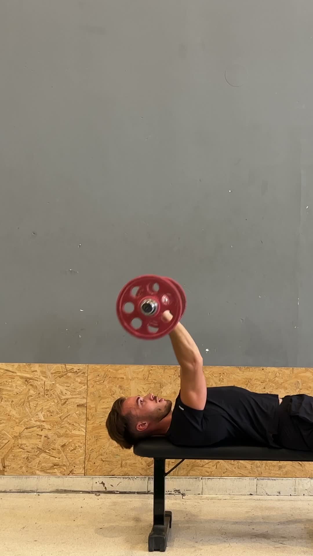 Barbell Skull Crushers exercise stock photo, triceps