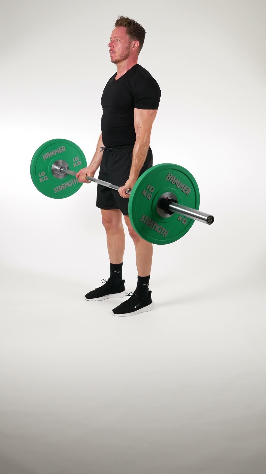 Barbell Curls exercise stock photo, biceps
