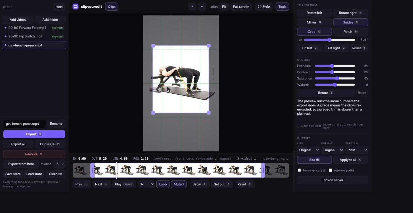 Crop box and guide lines over a clip in clipyouredit